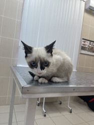 Similar image 21332218