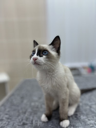 Similar image 21332219