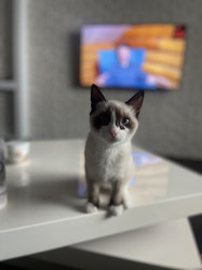 Similar image 21332220