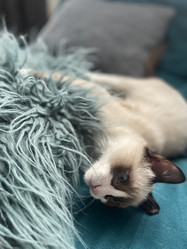 Similar image 21332222