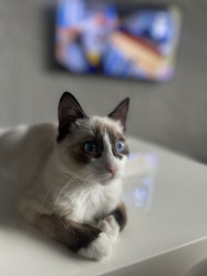 Similar image 21332224