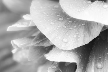 Similar image 21331593