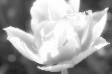 Similar image 21331594