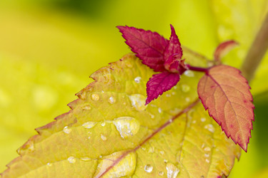 Similar image 21331595