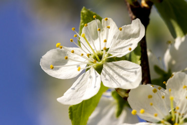 Similar image 21331596