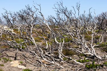 Similar image 21331600