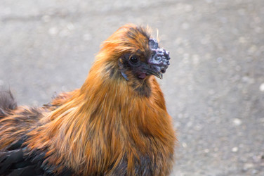 Similar image 21331633