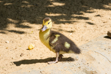 Similar image 21331635