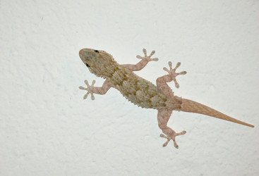 Similar image 21331640