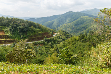 Similar image 21332554