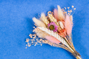 Similar image 21332285