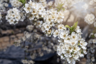 Similar image 21335212