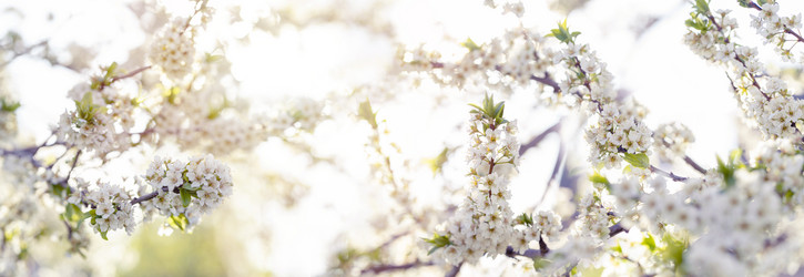 Similar image 21335217