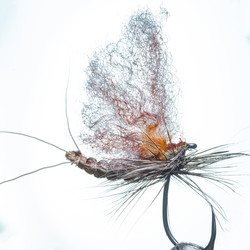 Similar image 21335224