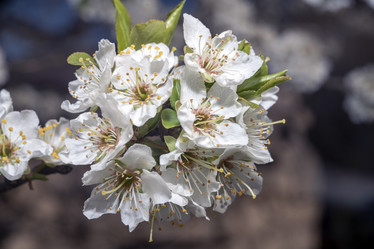 Similar image 21335226