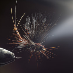 Similar image 21335227