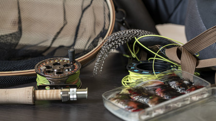 Similar image 21335231