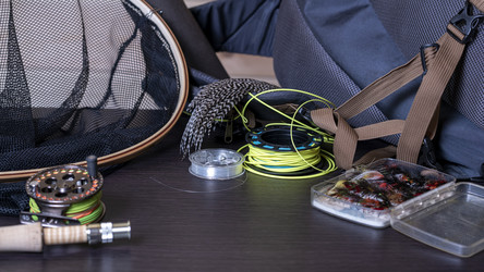 Similar image 21335232