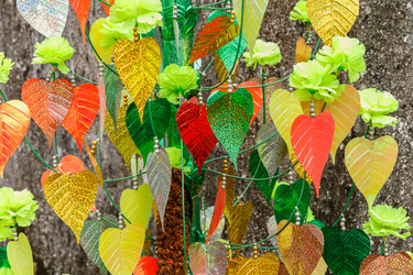 Similar image 21332571