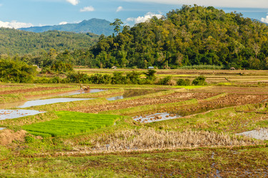 Similar image 21332581