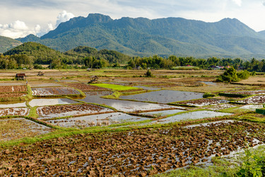 Similar image 21332582