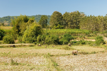 Similar image 21332585