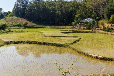 Similar image 21332587