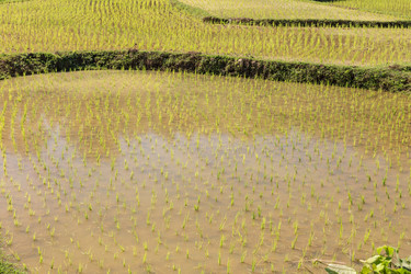 Similar image 21332588