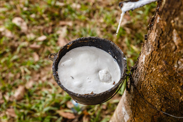 Similar image 21332597