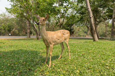 Similar image 21333047