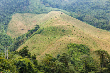 Similar image 21330626