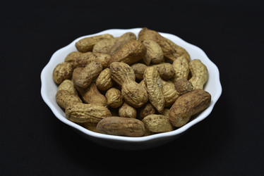 Similar image 21336782