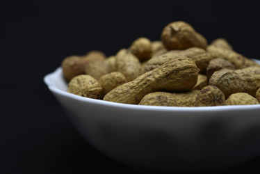 Similar image 21336787