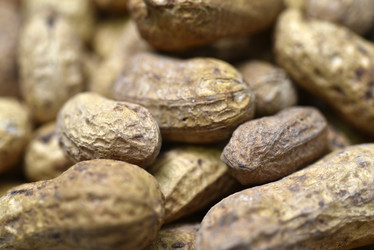 Similar image 21336788