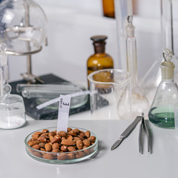 Similar image 21335188