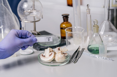 Similar image 21335189