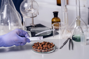 Similar image 21335190