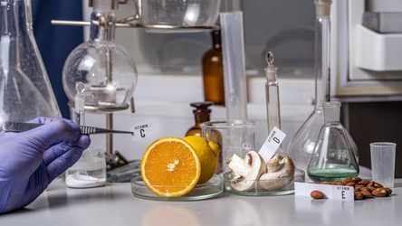 Similar image 21335245