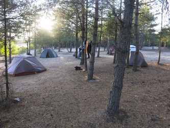 Similar image 21331897