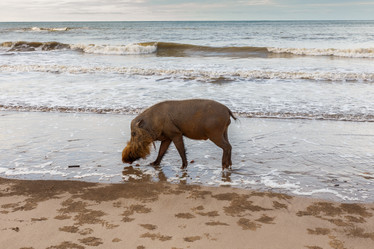 Similar image 21333049