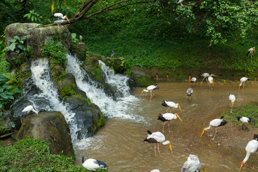 Similar image 21333052