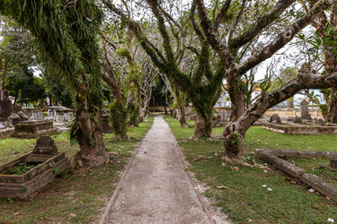 Similar image 21333056