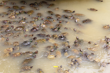 Similar image 21333058