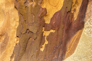 Similar image 21333065