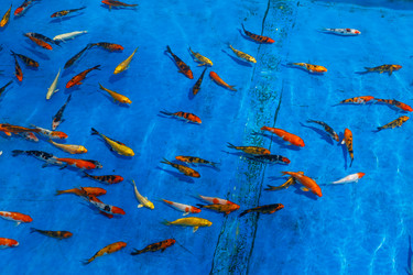 Similar image 21333071