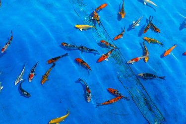 Similar image 21333075