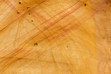 Similar image 21330639