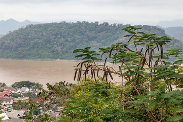 Similar image 21333080