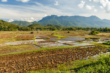 Similar image 21333084