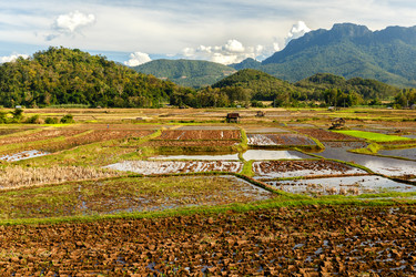 Similar image 21333085